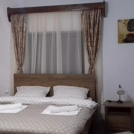 Homestay szállás Casa Radu Novaci-Străini
