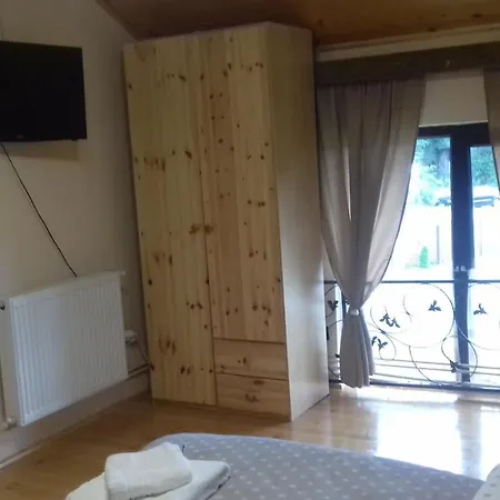 Casa Radu Novaci-Străini