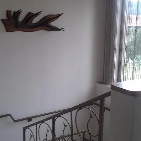 Homestay szállás Casa Radu *