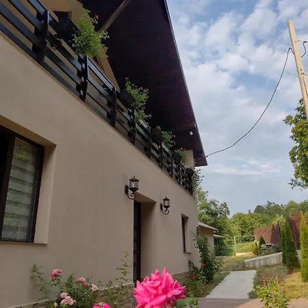 Homestay szállás Casa Radu Novaci-Străini