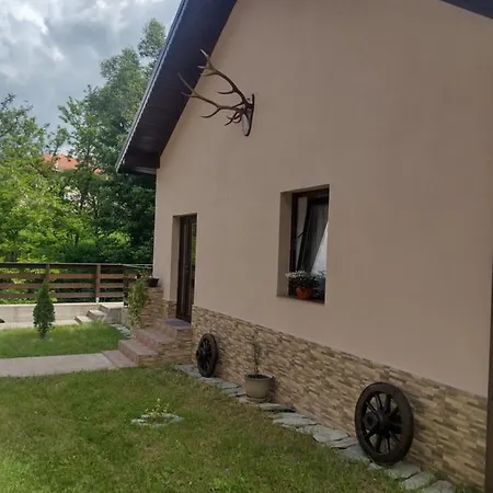Casa Radu * Novaci-Străini