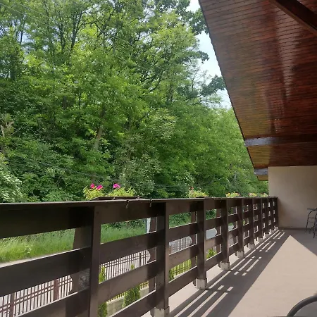 Homestay szállás Casa Radu