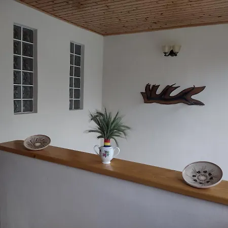 Homestay szállás Casa Radu