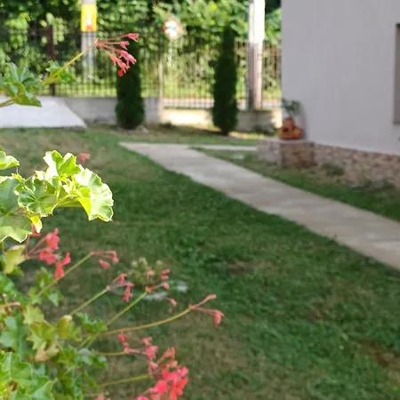 Casa Radu Homestay szállás Novaci-Străini