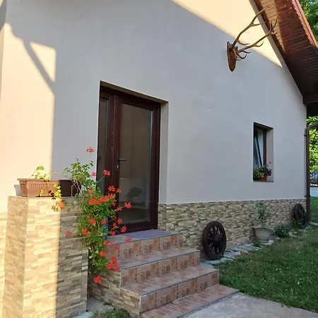 Casa Radu Novaci-Străini