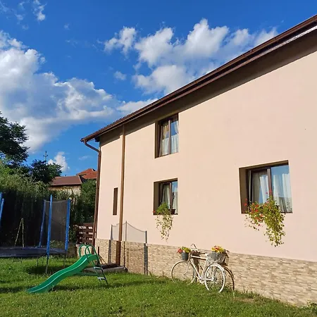 Homestay szállás Casa Radu *